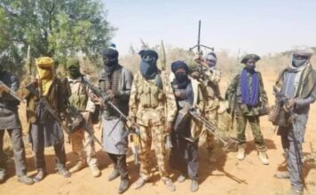 Massacre in Wanka, Kyaram and Gyambau: 20 Killed as Gunmen Ambush Soldiers and Raid Plateau Communities Bandits.jpeg