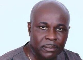 Jideofor Adibe.jpg