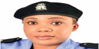 Odutola Ogun Ppro.jpg
