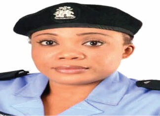 Odutola Ogun Ppro.jpg