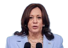 Kamala Harris endorsed by Biden as Democrats’ nominee