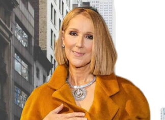 Celine Dion at Paris Olympic 2024