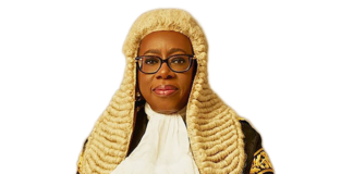New CJN/jah4news