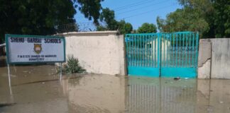 Floods in Northeastern Nigeria: Over One Million Displaced After Alau Dam Collapse