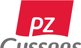 PZ Cussons considers selling African subsidiaries due to naira devaluation and forex crisis.