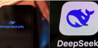 DeepSeek AI technology.