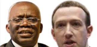 Femi Falana in court suing Meta over a false health claim video.