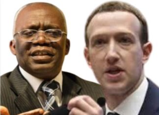 Femi Falana in court suing Meta over a false health claim video.