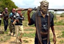 MetroScores feared dead as suspected herdsmen launch fresh attacks in Benue Img 9742