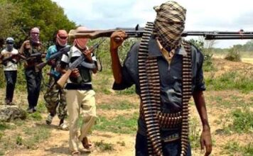 MetroScores feared dead as suspected herdsmen launch fresh attacks in Benue Img 9742