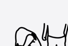 Screenshot 20260422 153633 chrome