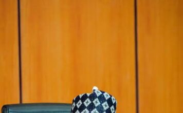 Nigeria Needs Bigger National Budget to Achieve $1 Trillion Economy – Bagudu Screenshot 20260929 205128~2